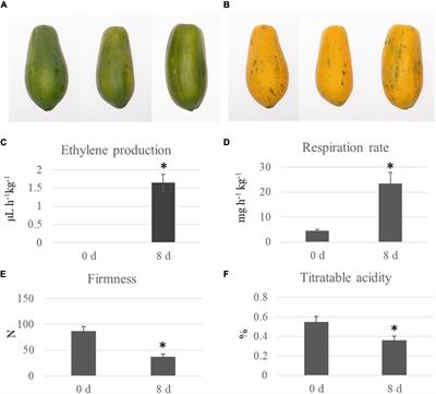 Quantitative Ubiquitylomic Analysis of the Dynamic Changes and Extensive Modulation of Ubiquitylation in Papaya During the Fruit Ripening Process